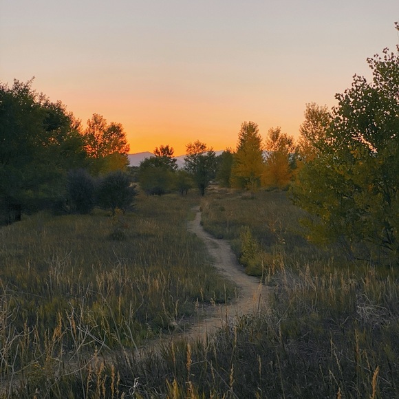 Meet your Posher, Courtney - Picture 4 of 5